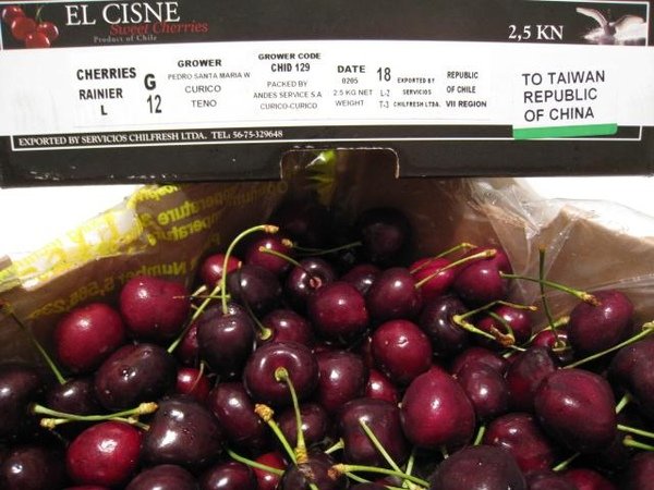 cherries 3.jpg