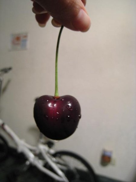 cherries 4.jpg