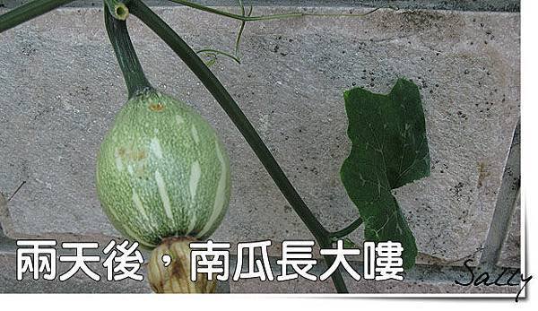 07-110813.jpg
