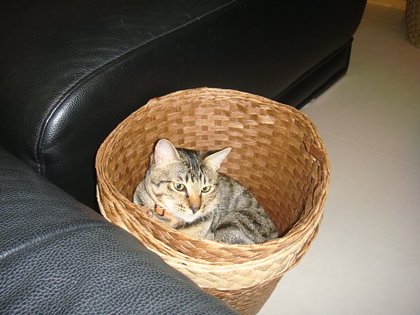 DSC01111.JPG