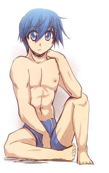 kaito01.jpg