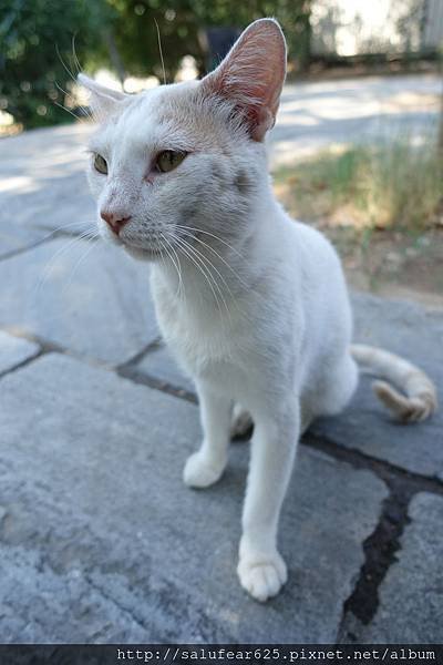 DSC05553.jpg