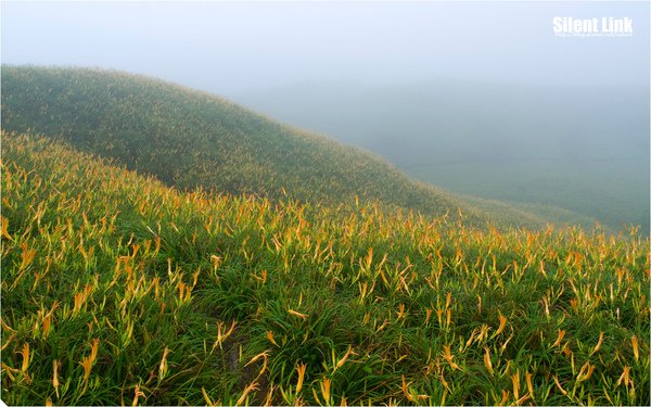 2010090405_Hualien_038.jpg