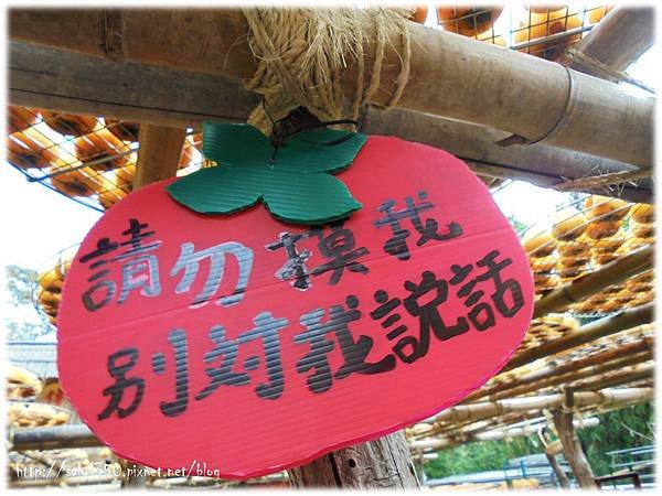 圖片13.jpg