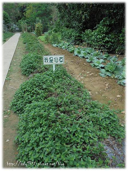 圖片11.jpg