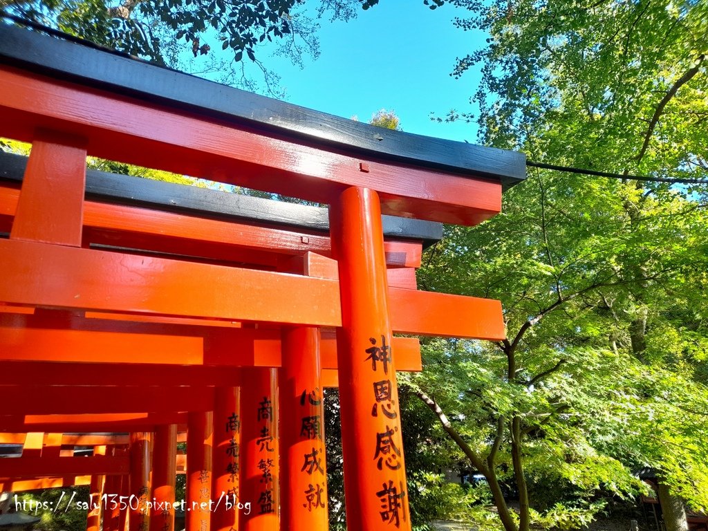 根津神社01.jpg