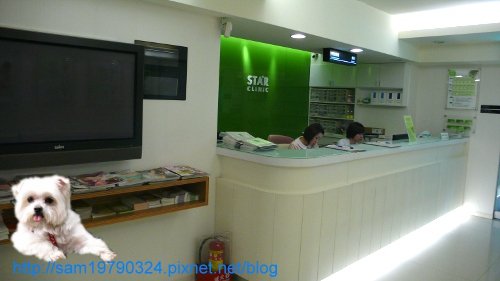 P1100714.JPG
