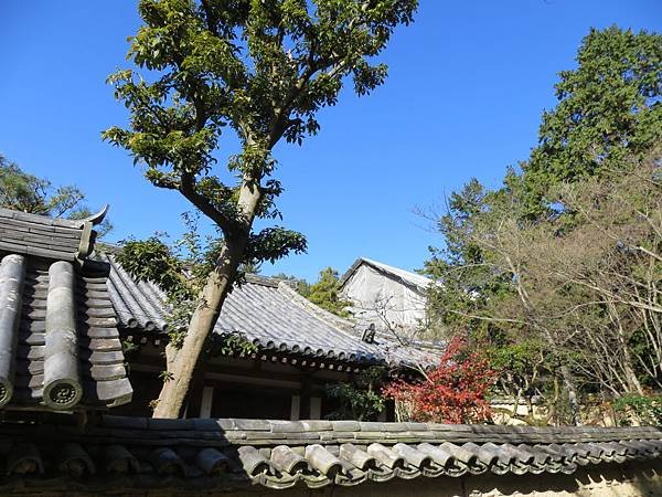 IMG_1957