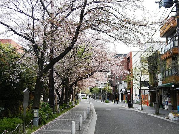 DSCN0824