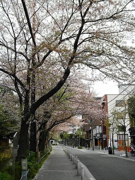 DSCN0825