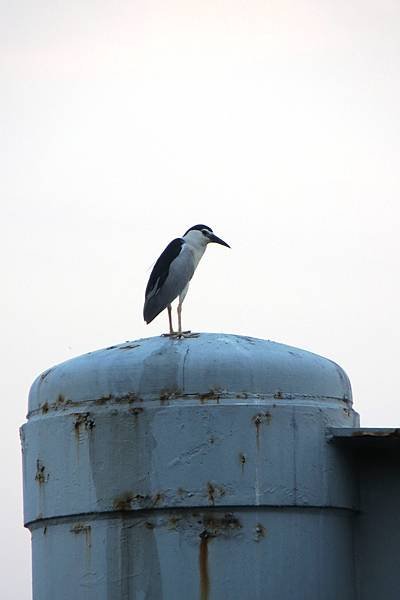 IMG_5338