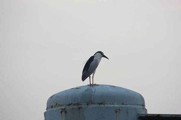 IMG_5340