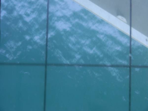 DSCN1216