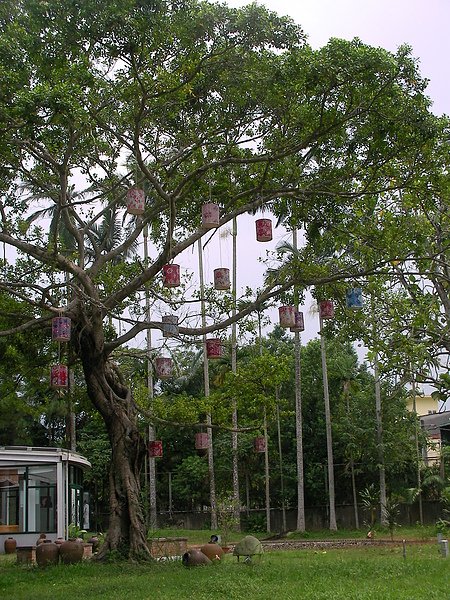 鄧南光影像紀念館外的庭院