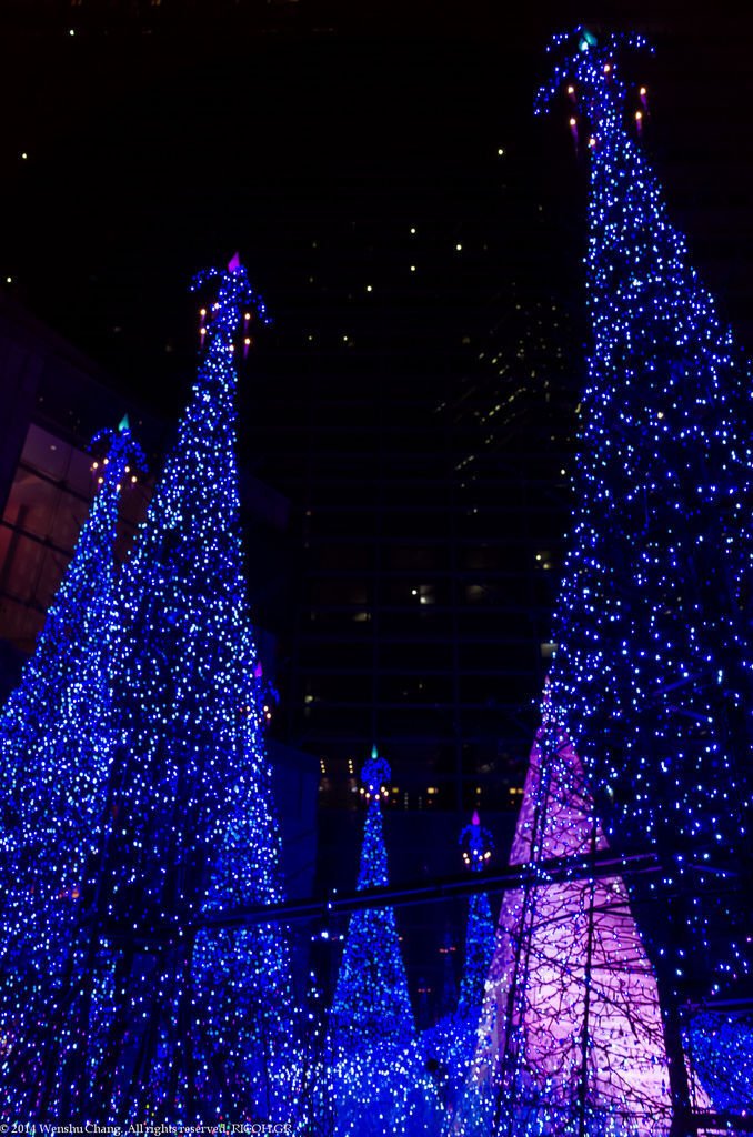 _R009728