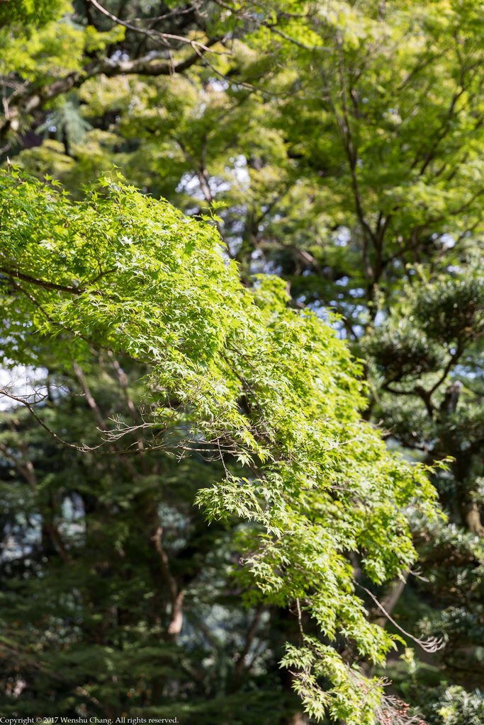 20170926-_J8A4601.jpg