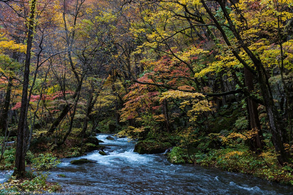20181030-_J8A9521.jpg