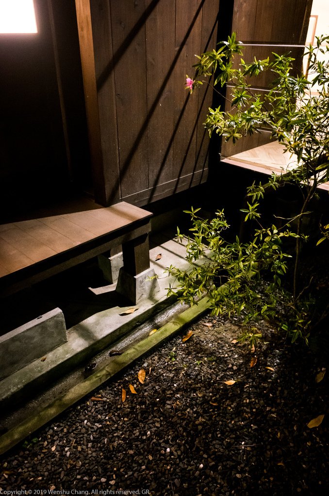 20190413-_R008081.jpg