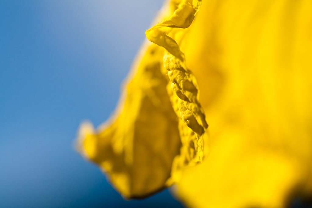 IMG_2696-2