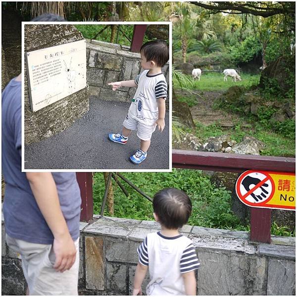 20110723003.jpg