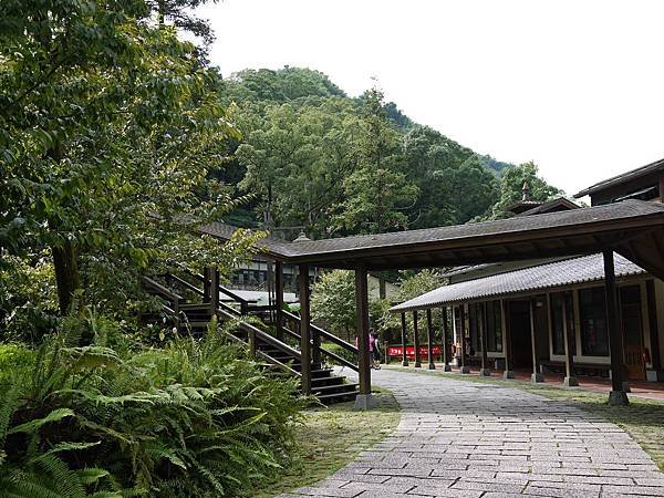 P1180396.JPG