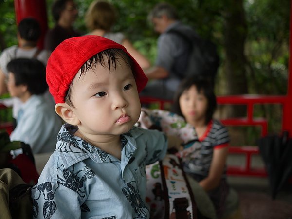 P1050433.JPG
