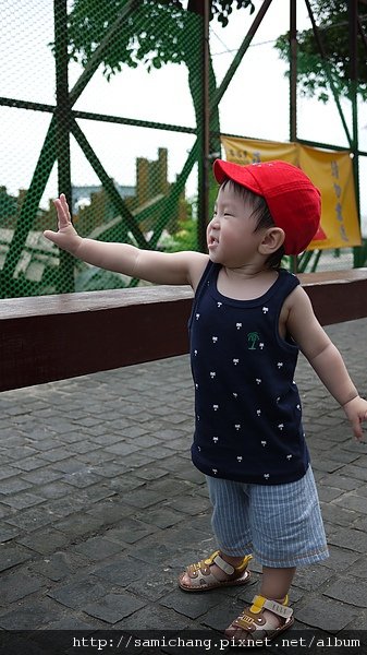 P1030818.JPG