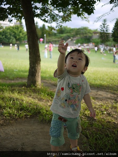 P1060781.JPG