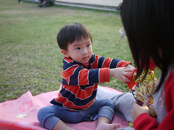 P1100313.JPG