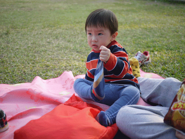20101219001.gif