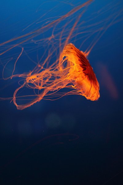 IMG_0668.JPG