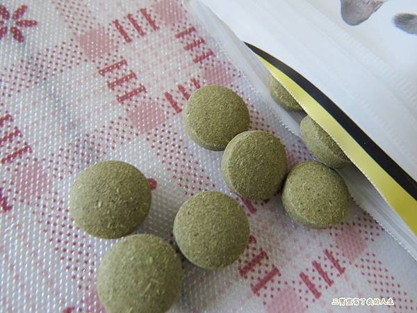 王品寵物13.JPG