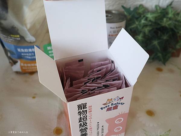 珮慈星系13.JPG