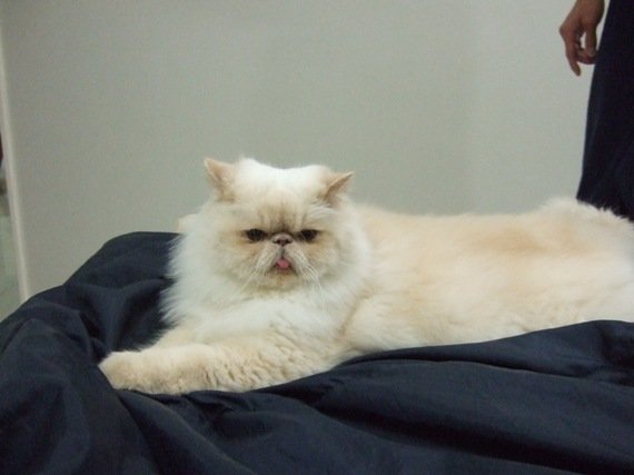 DSCF3064.JPG