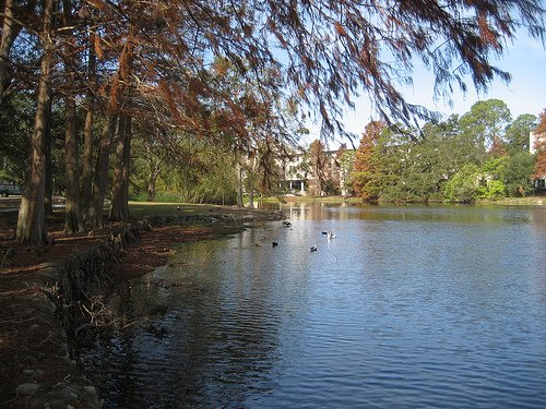LSU autumn.jpg