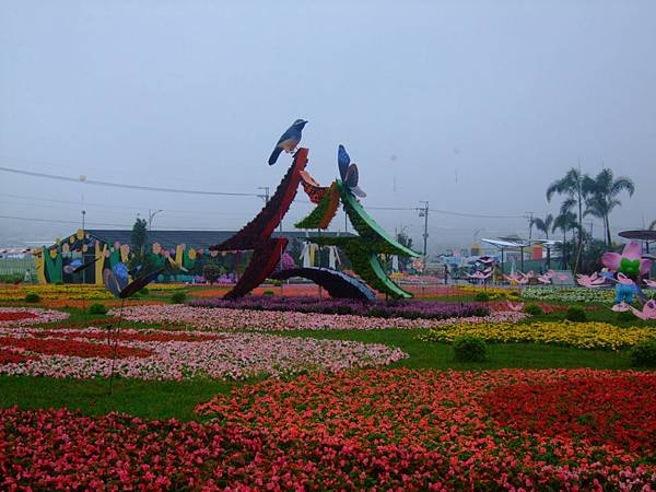 DSCF3223