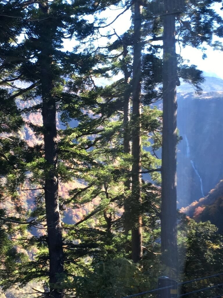 IMG_7485.JPG