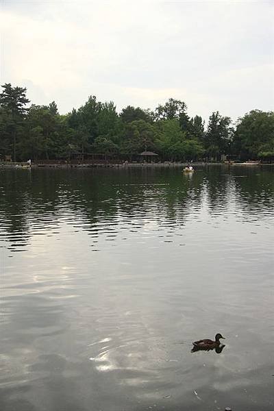 IMG_0496.jpg