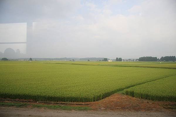 IMG_1266.jpg