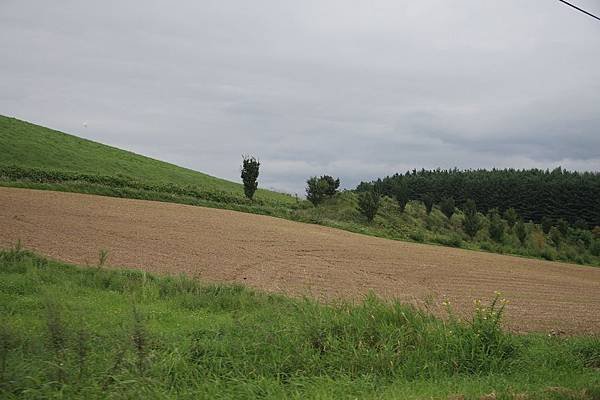 IMG_0775.jpg