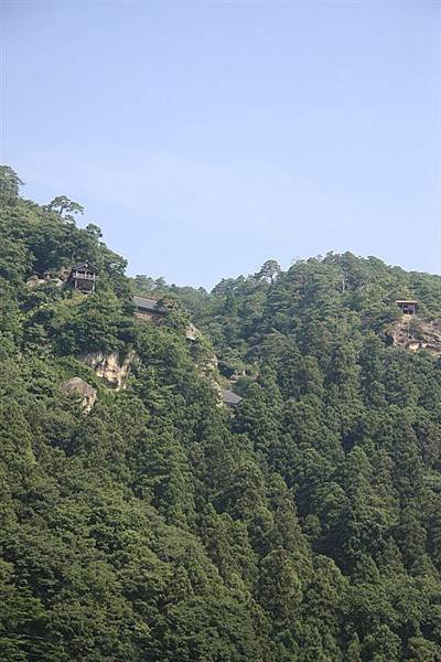 IMG_1325.jpg