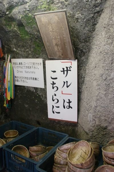 IMG_6996.jpg