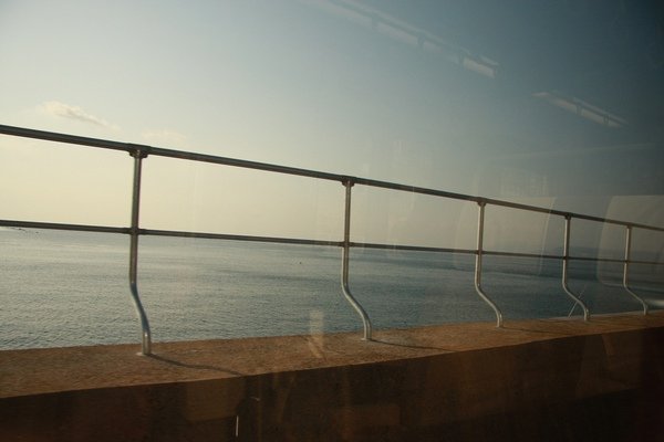 IMG_8786.jpg