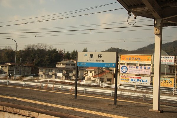 IMG_8806.jpg