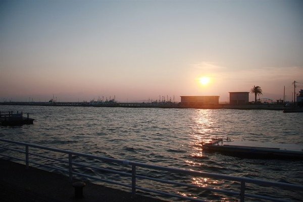 IMG_7175.jpg