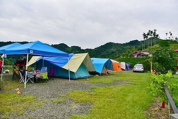 DSC_2798.jpg