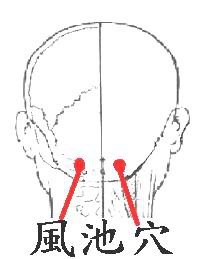 明目醒腦穴：風池.jpg