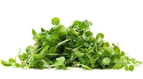 Watercress