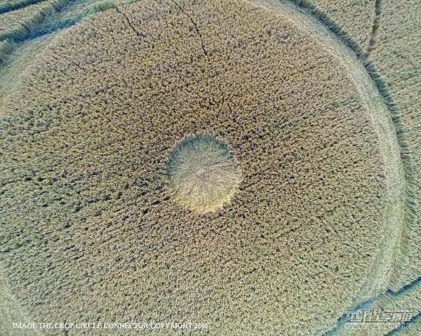 2016-7-22 英國威爾特郡奥爾頓巴恩斯East Field6