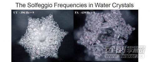 水结晶实验，不同频率的声音对水结晶的影响.jpg